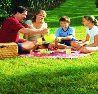 Bruny Island Berry Farm - Attractions Brisbane