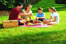 Bruny Island Berry Farm - Attractions Brisbane 0