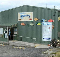 Stanley Seaquarium - Attractions Brisbane