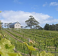 Bruny Island Premium Wines Bar and Grill - Attractions Brisbane