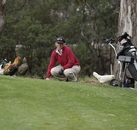 Tasmania Golf Club - The - Attractions Brisbane