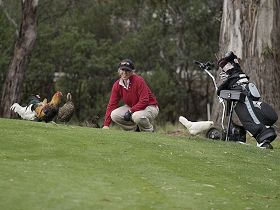 Tasmania Golf Club - The - Attractions Brisbane 0