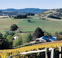 Freycinet Vineyards Pty Ltd - Attractions Brisbane