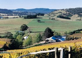 Freycinet Vineyards Pty Ltd - Attractions Brisbane 0