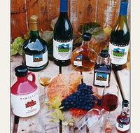 Hartzview Vineyard - Attractions Brisbane