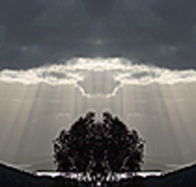 aart. Gallery of Fine Art - Attractions Brisbane