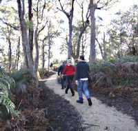 Bridport Walking Track - Attractions Brisbane