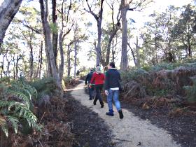 Bridport Walking Track - Attractions Brisbane 0