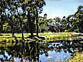 Smithton TAS Attractions Brisbane