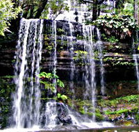 Mt Field National Park - Attractions Brisbane