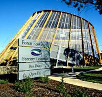 Forest EcoCentre - Attractions Brisbane