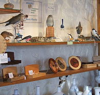 Touchwood Craft Gallery Gifts and Cafe - Attractions Brisbane