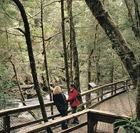 Franklin River Nature Trail - Attractions Brisbane