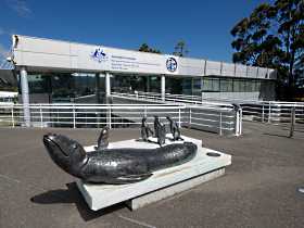 Australia's Antarctic Headquarters - Attractions Brisbane 0