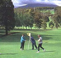 Deloraine Golf Course - Attractions Brisbane