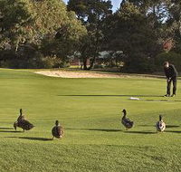 Royal Hobart Golf Club - Attractions Brisbane