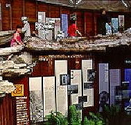 West Coast Visitor Information and Booking Centre - Attractions Brisbane