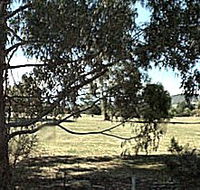 Cygnet Public Golf Course - Attractions Brisbane