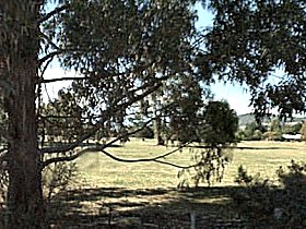 Cygnet Public Golf Course - Attractions Brisbane 0