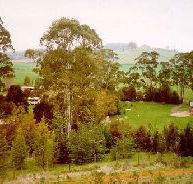 The Tasmanian Arboretum - Attractions Brisbane