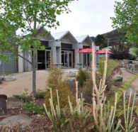 Tin Dragon Interpretation Centre and Cafe - Attractions Brisbane