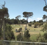 Greens Beach Golf Course - Attractions Brisbane