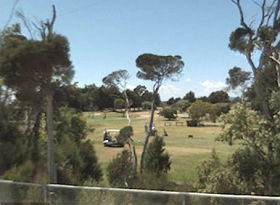 Greens Beach Golf Course - Attractions Brisbane 0