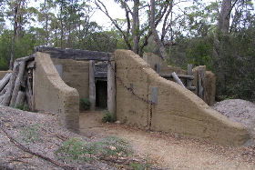  Attractions Brisbane
