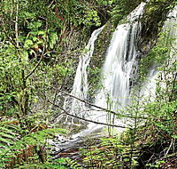 Hogarth Falls - Attractions Brisbane
