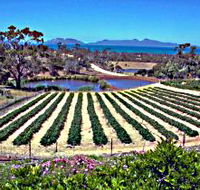 Kate's Berry Farm - Attractions Brisbane