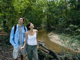 Mooloolah River National Park, Jowarra Section - Attractions Brisbane 0