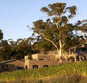Domaine A / Stoney Vineyard - Attractions Brisbane