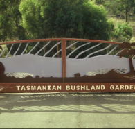 Tasmanian Bushland Garden - Attractions Brisbane
