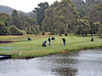 Penguin Golf Course