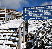 Ben Lomond National Park - Attractions Brisbane