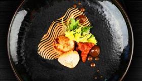 Sage - Attractions Brisbane 0