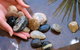 Earth Day Spa - thumb 0