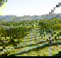 Surveyor's Hill Vineyards - Attractions Brisbane