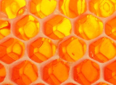 Lucaston TAS Attractions Brisbane