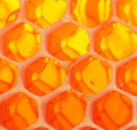 The Honey Pot - Attractions Brisbane