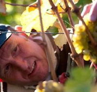 Puddleduck Vineyard - Attractions Brisbane