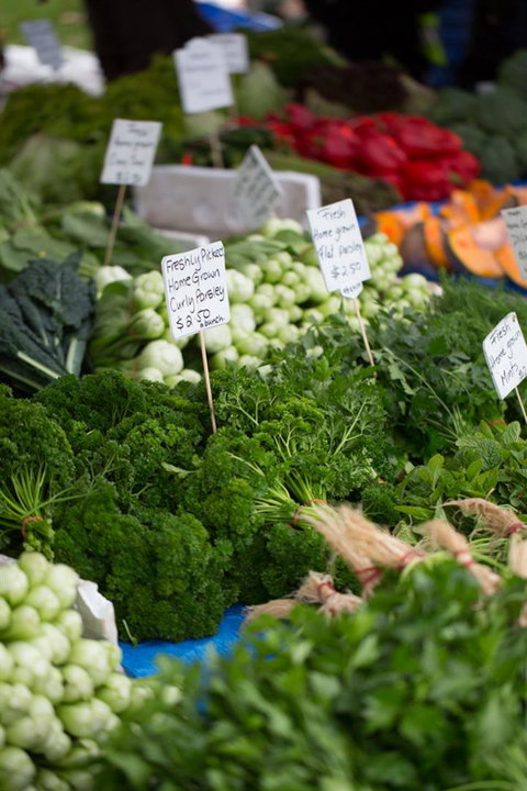 Salamanca Market - Attractions Brisbane 5