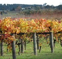 Apsley Gorge Vineyard - Attractions Brisbane