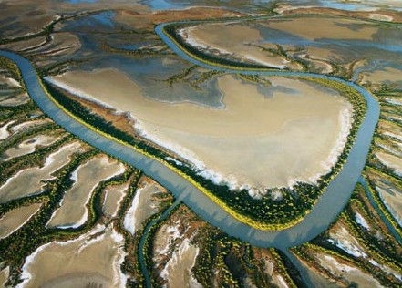 The Wilderness Gallery - Attractions Brisbane 0