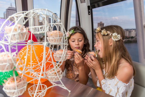 The Wheel Of Brisbane - Attractions Brisbane 2