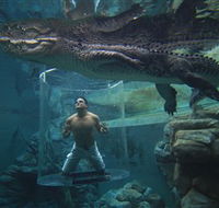 Crocosaurus Cove - Attractions Brisbane