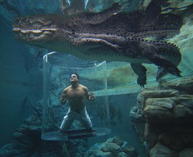 Crocosaurus Cove - Attractions Brisbane 0