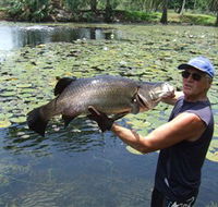 Barra Feeding - Attractions Brisbane