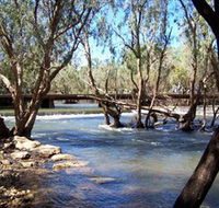 Low Level Nature Reserve - Attractions Brisbane