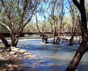 Low Level Nature Reserve - Attractions Brisbane 0